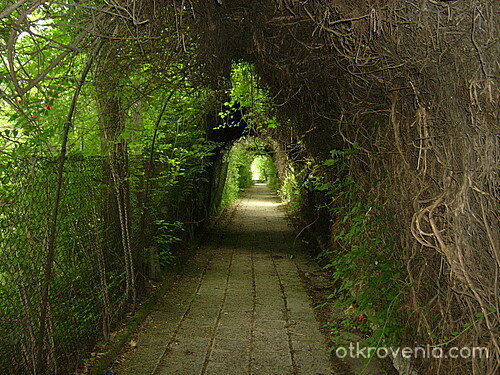 Светлината в края на тунела