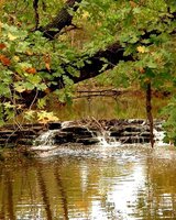 Sunny-Sun (Цветелина Филева)