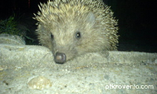 нощна смяна :)