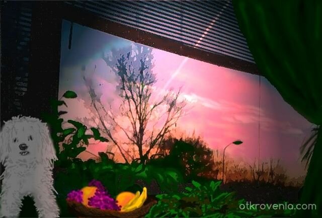 Розов залез