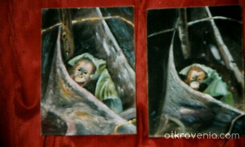 Две маймуни