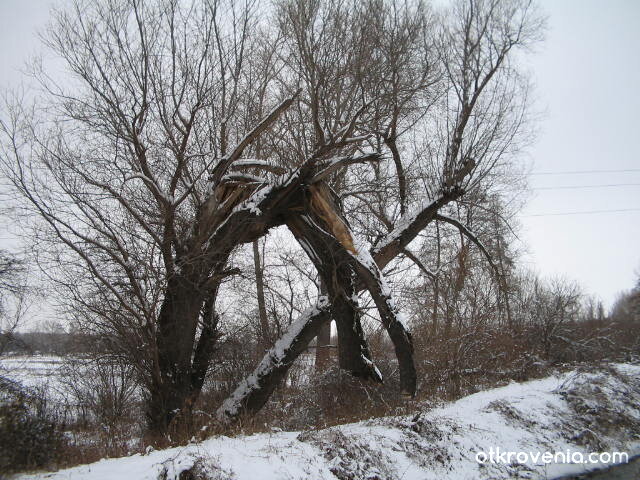 портал към Рая