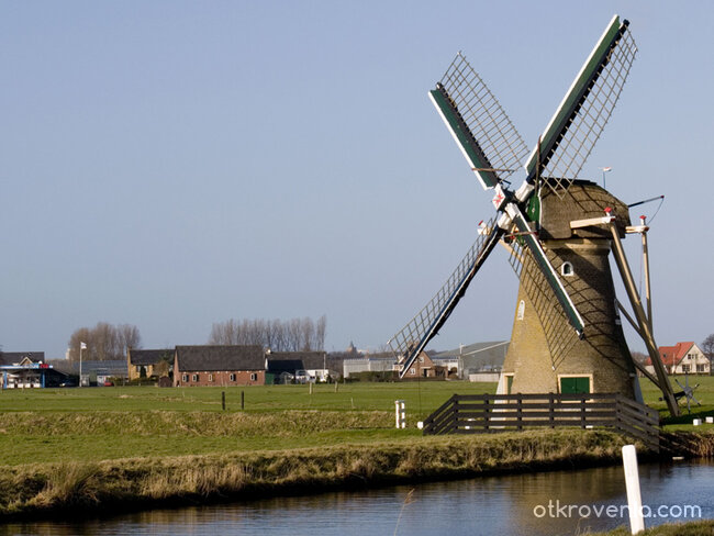 Тест za фотография