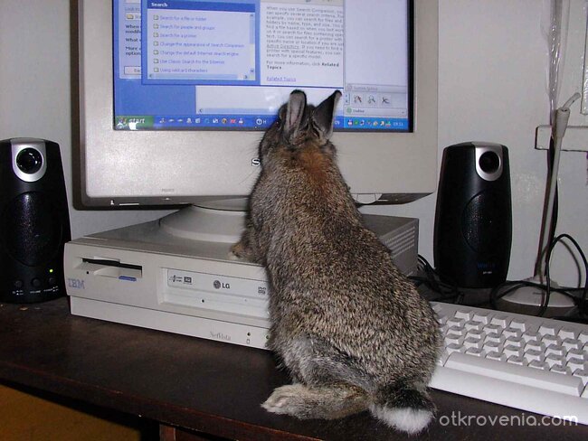 На курс по компютърна грамотност 1