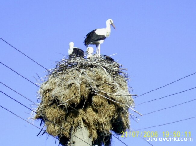 В очакване на първия полет
