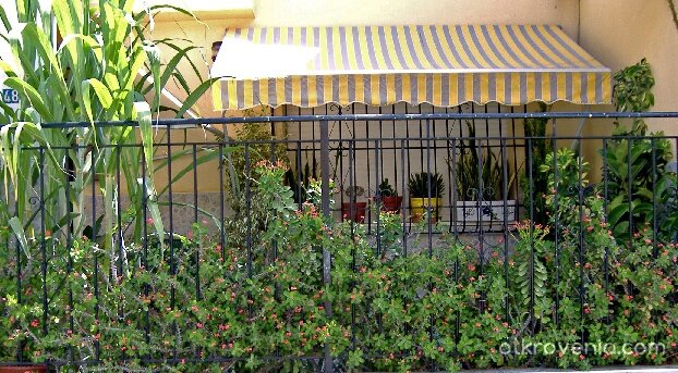 През оградата на съседите