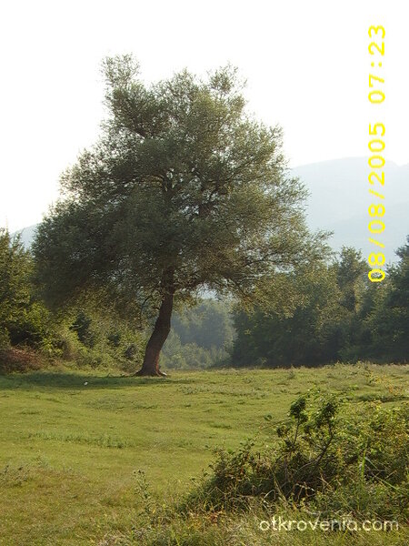 И сам войнът е войн