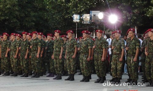 Строени баретки