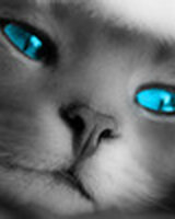 valandis (Василка Янева)