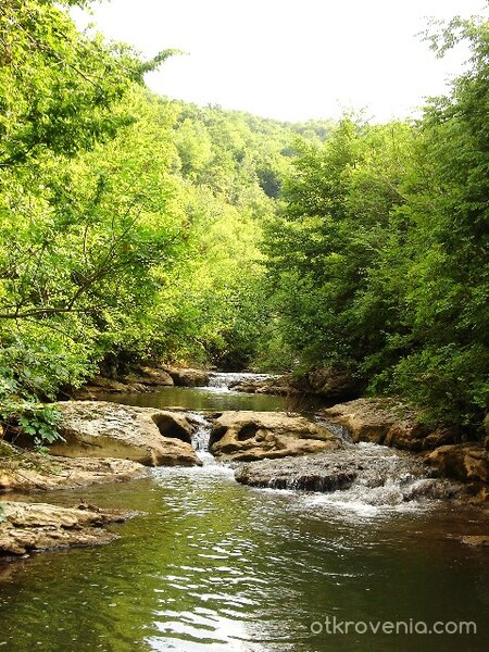 Просто рекичка...