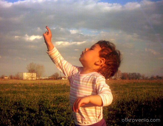 Хармония и нежност