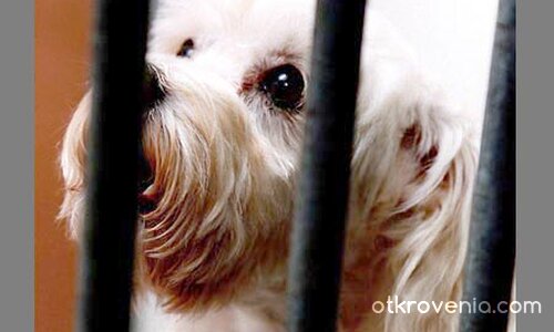 До кога ще стоя в затвор