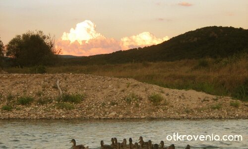 Колекция с ... патенца :)