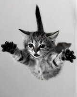 Калинчето (Инчето Линчето)