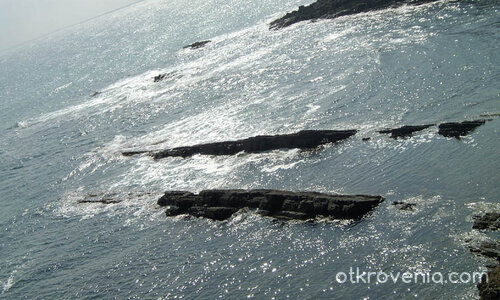 На крилете на грифона