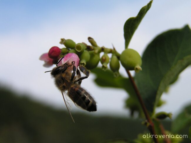 В края на работния ден