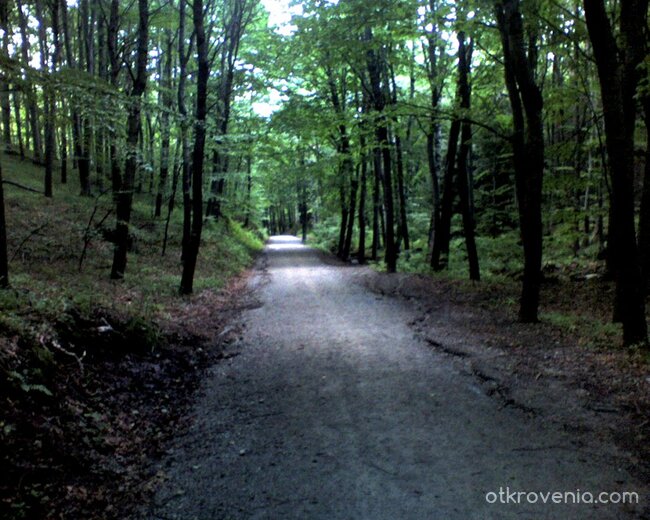 Път към вечността