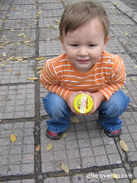 Есенно слънчице