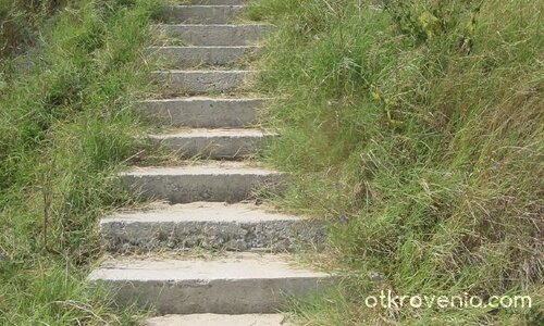 Житейска психология