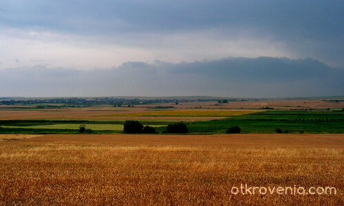 Златните поля