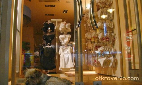 търпението ми има граници!!!