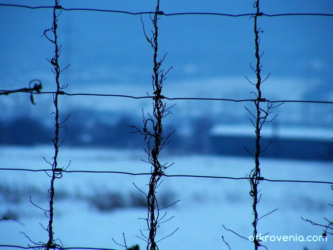 Зад оградата