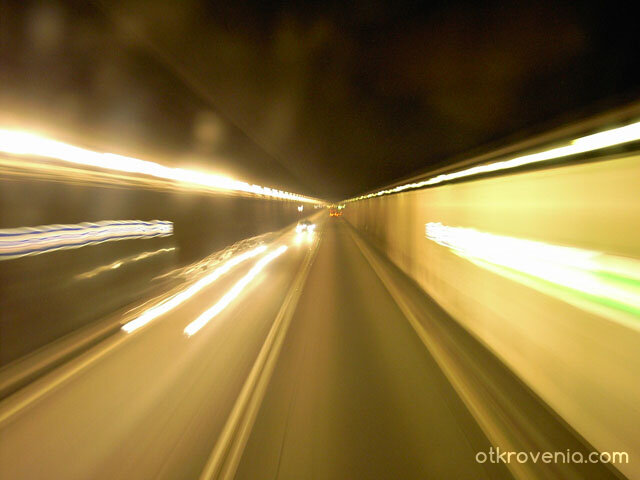 Скоростта на живота