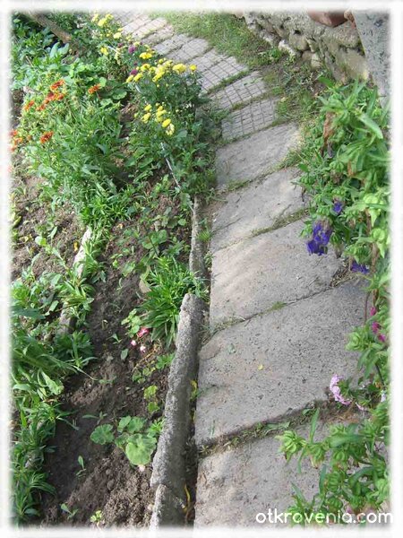 Дивата пътечка