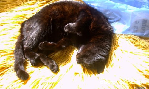 Пухкава слънчева баня :)