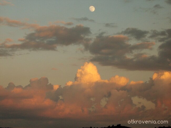 Спрях попътно да ти се порадвам...