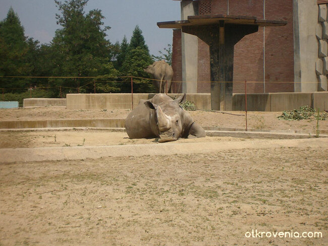 Колко е хубаво да си лежиш на припек...