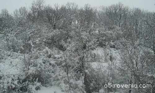 Красота... :о))