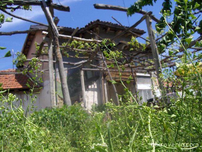 Селска архитектура