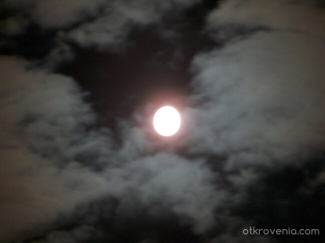 Само тази нощ....123