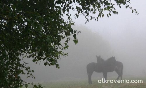 Зад Завесата :)
