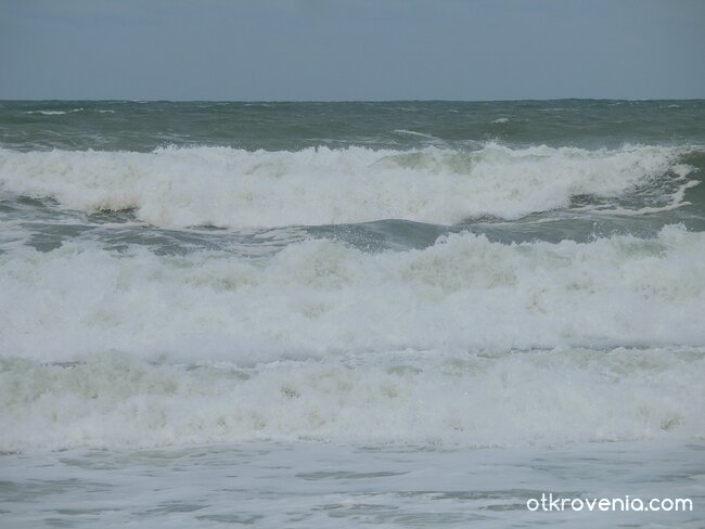 много съм ядосано