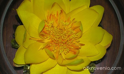 От сърцето...