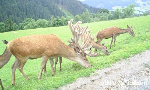 На една ръка разстояние