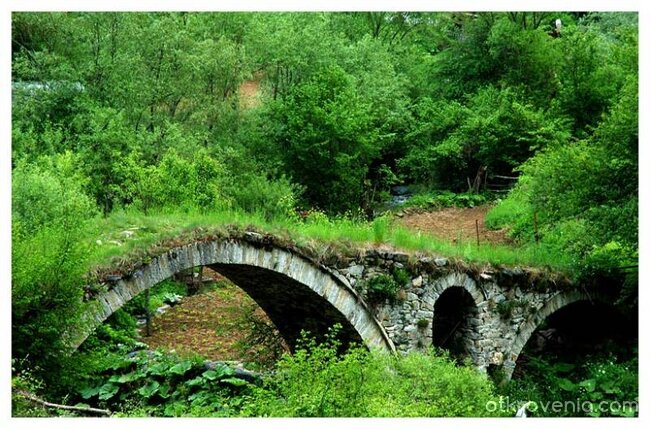 В джунглата :)