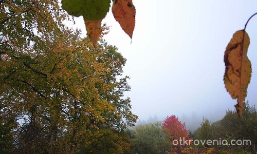 El Otoo (Есента)