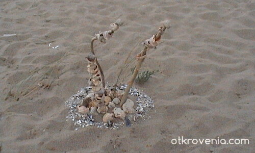 Морска композиция