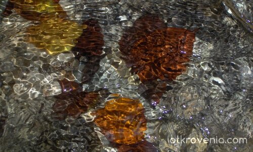 листа през водата