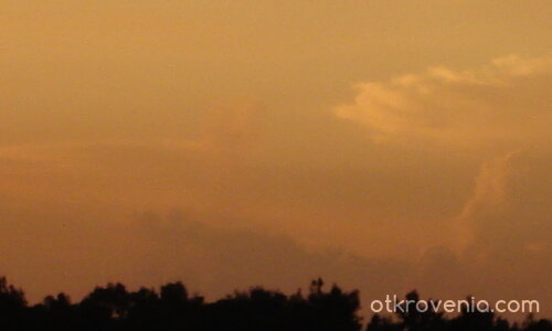 Лебед в небето