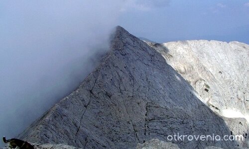 Кучето се спря пред "Кончето" - ние не се спряхме!