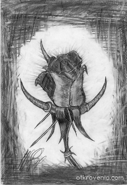 само тя остана...