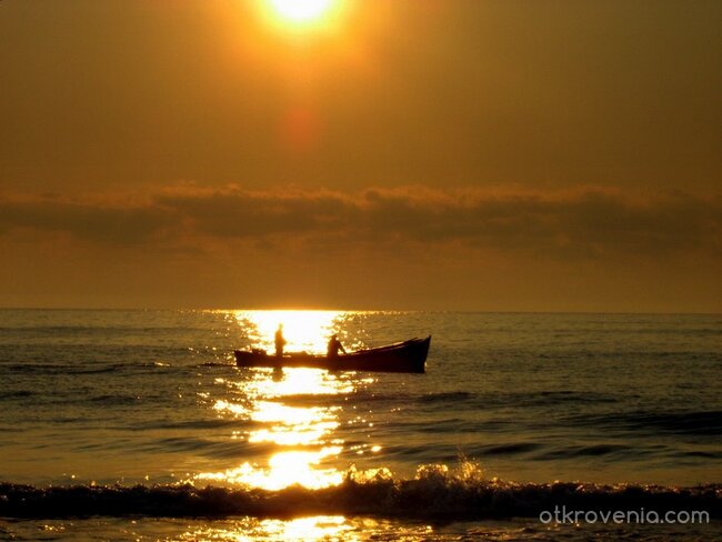 Злокобното в красотата...