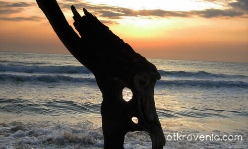 Спомените на Старият дънер...