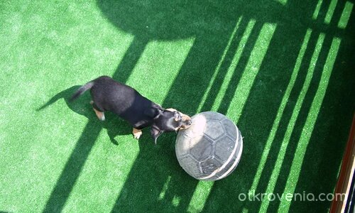 ..няма пък..и аз мога да съм футболист :Р