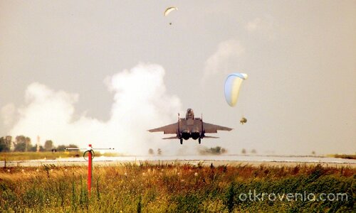 ... така е с птиците...