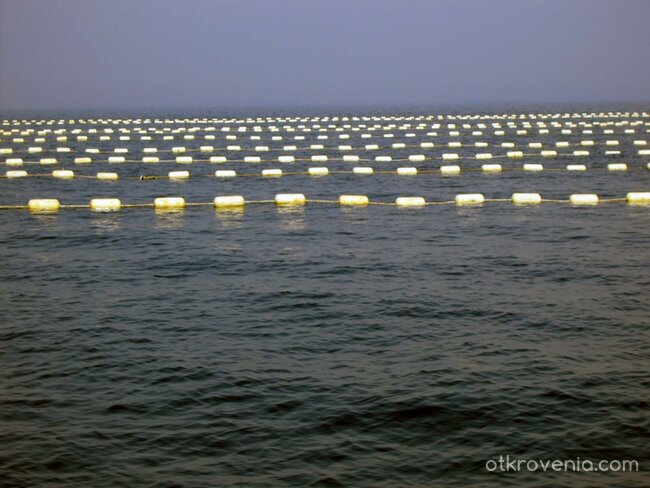 Морски лабиринт